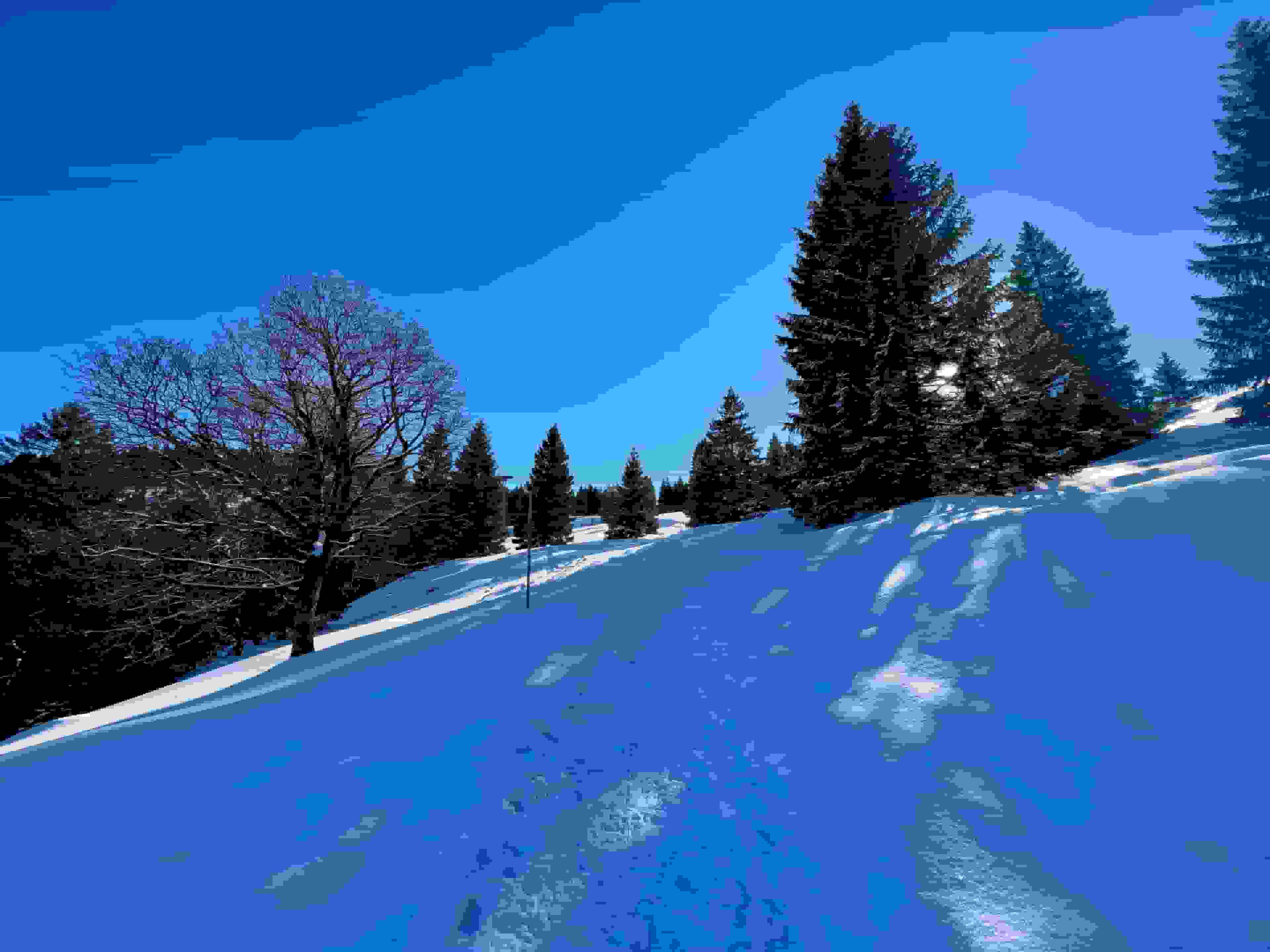 Bald bei der Holzegg