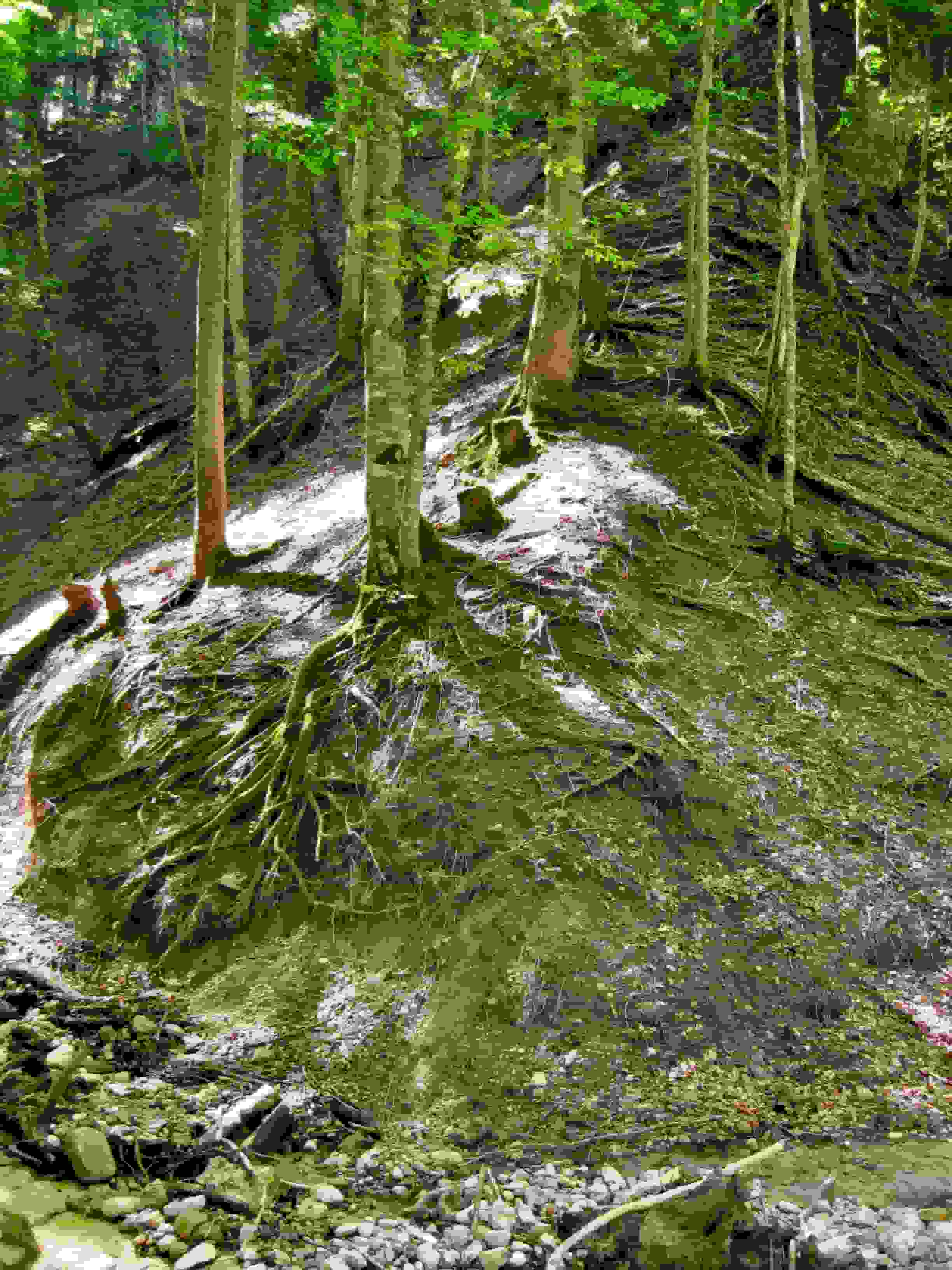 Einstieg in den - anfangs noch ausgeprägten - Sporn