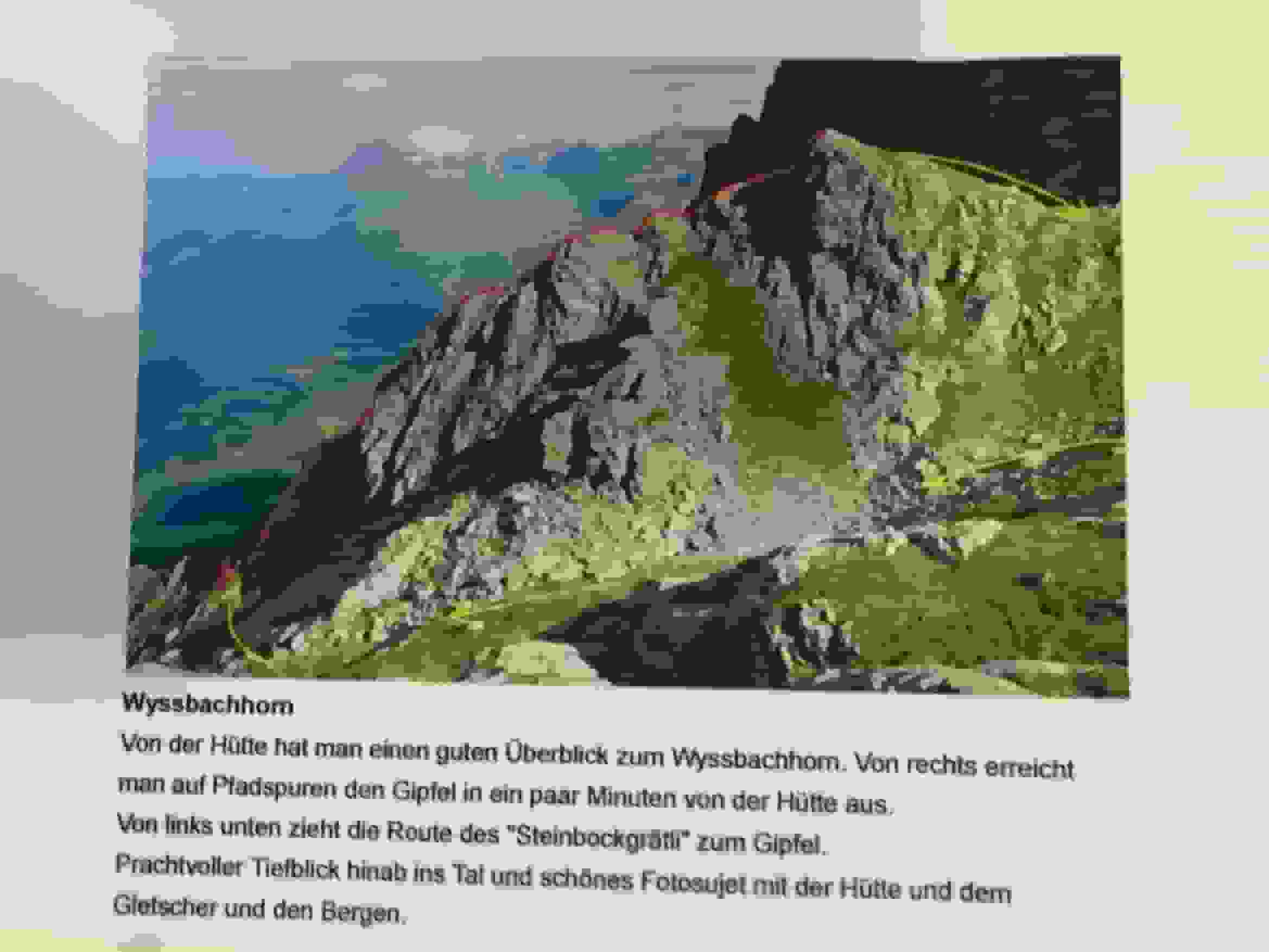 Topo Wyssbachhorn (Steinbockgrätli)