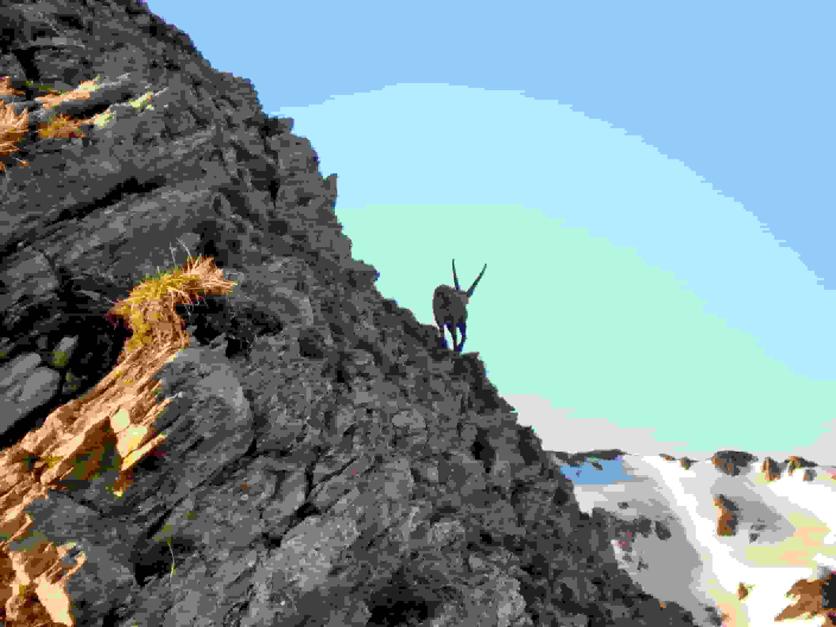 Dem gefällts nicht, dass ich ihn störe...