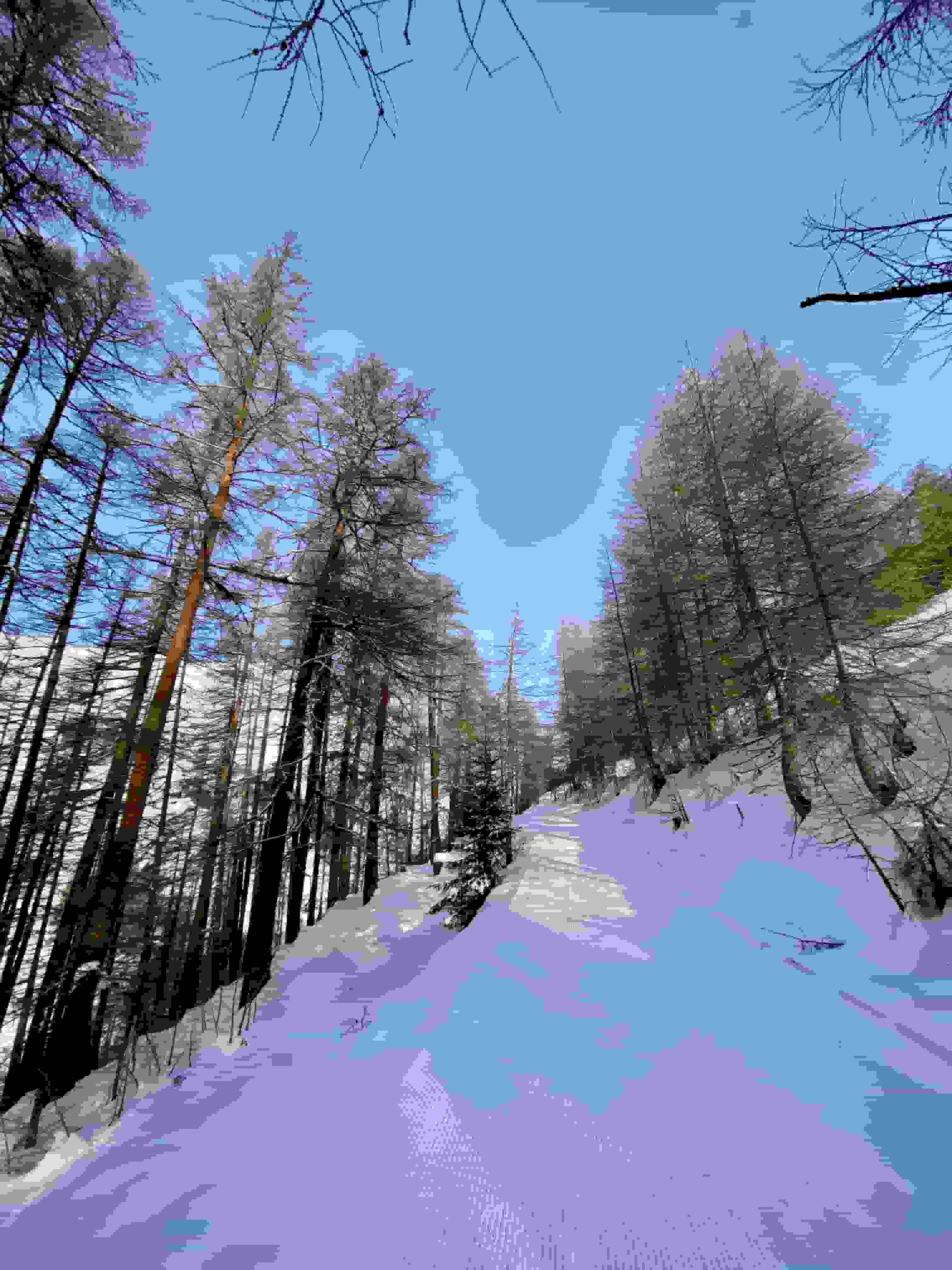 Auf dem präparierten Weg