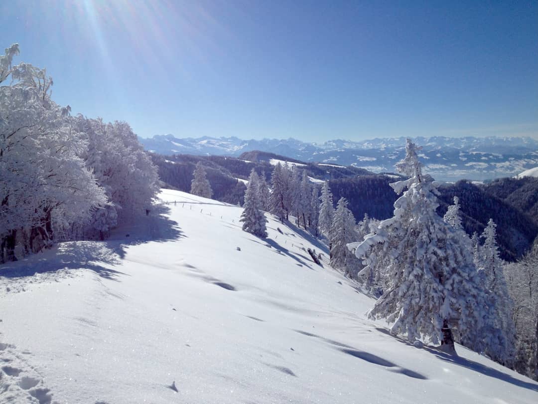 Titelbild Tour Schnebelhorn