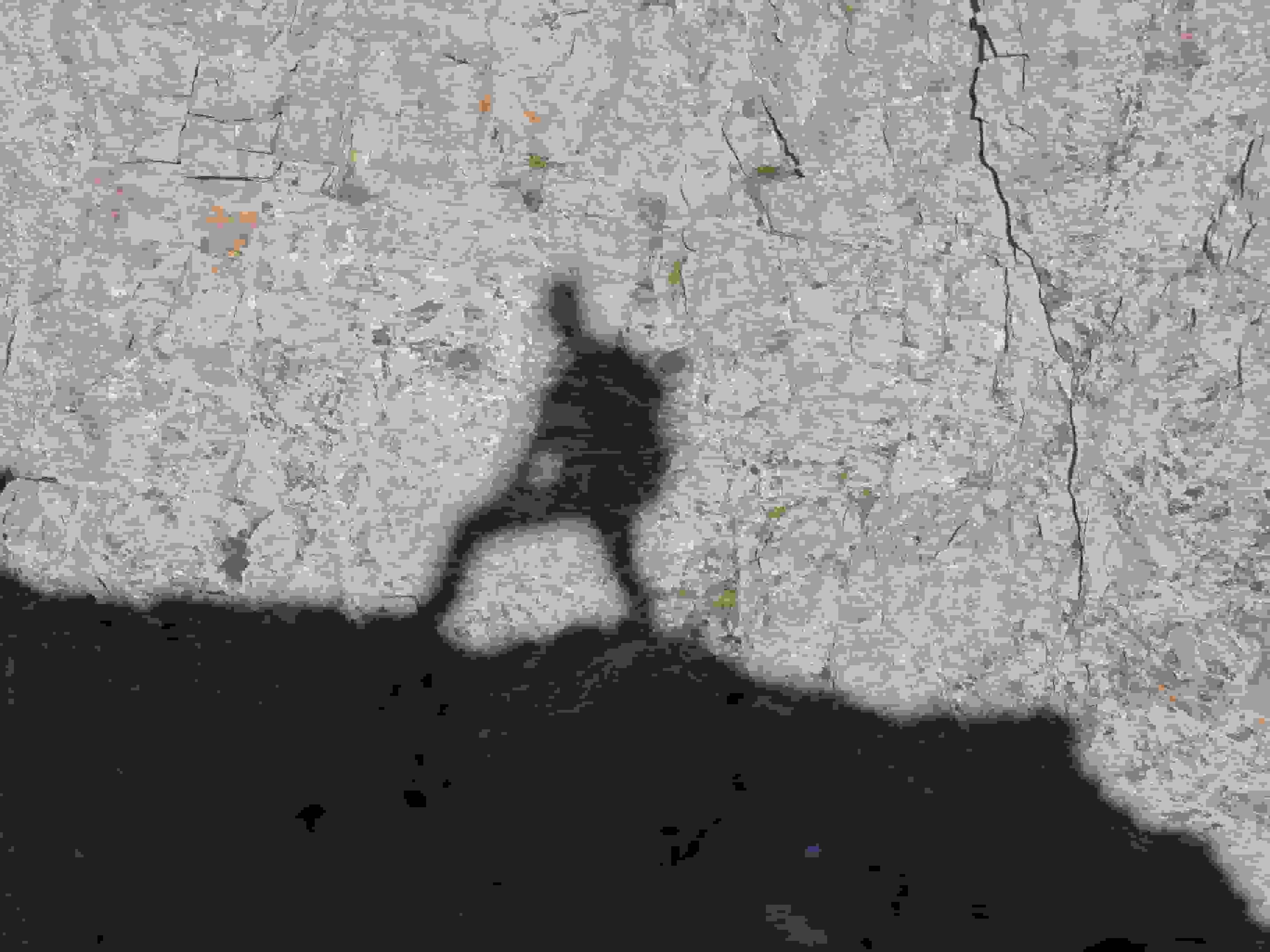 Mein treuer Begleiter