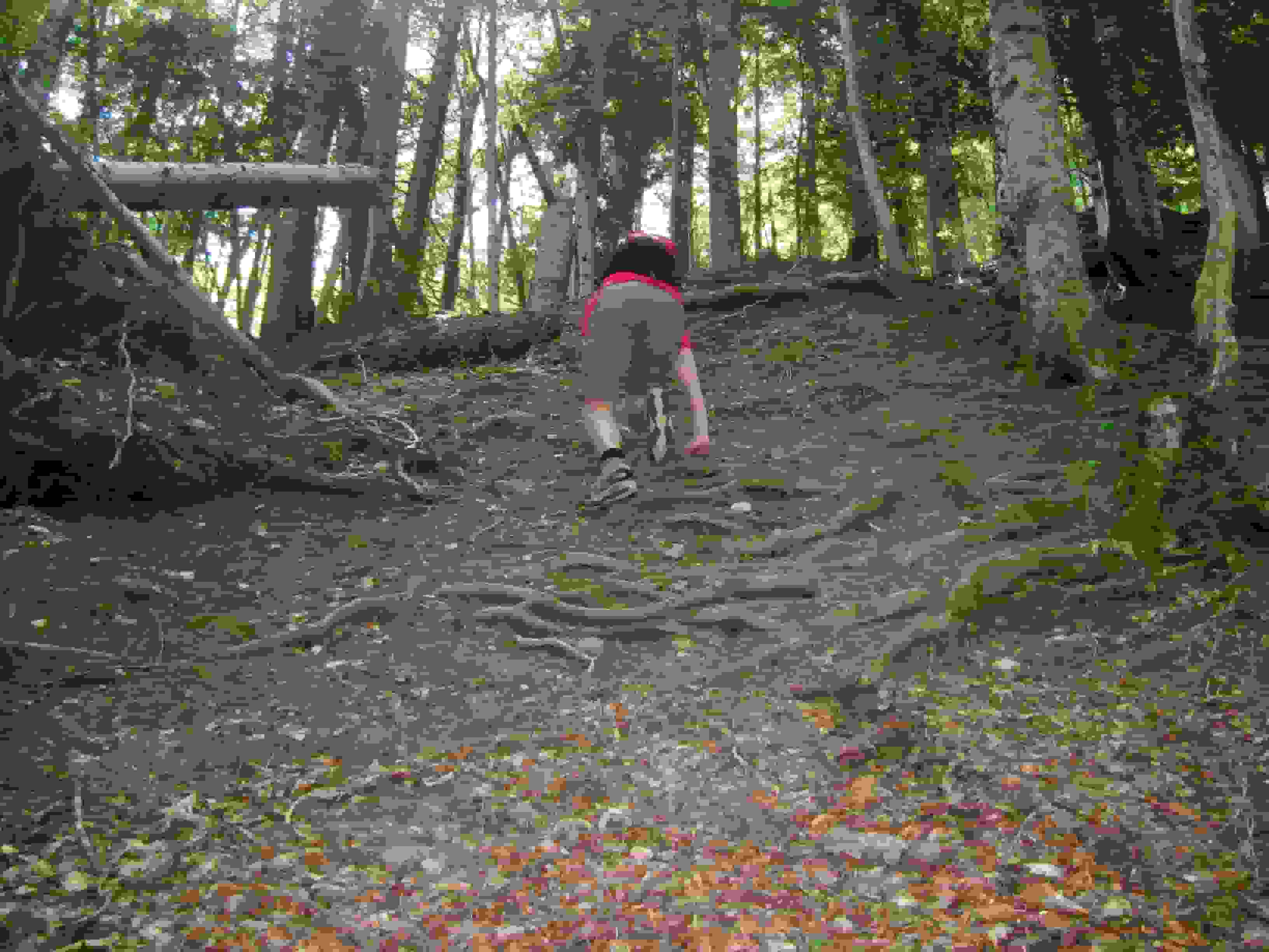 Typisches Schwarzenberg-Gelände