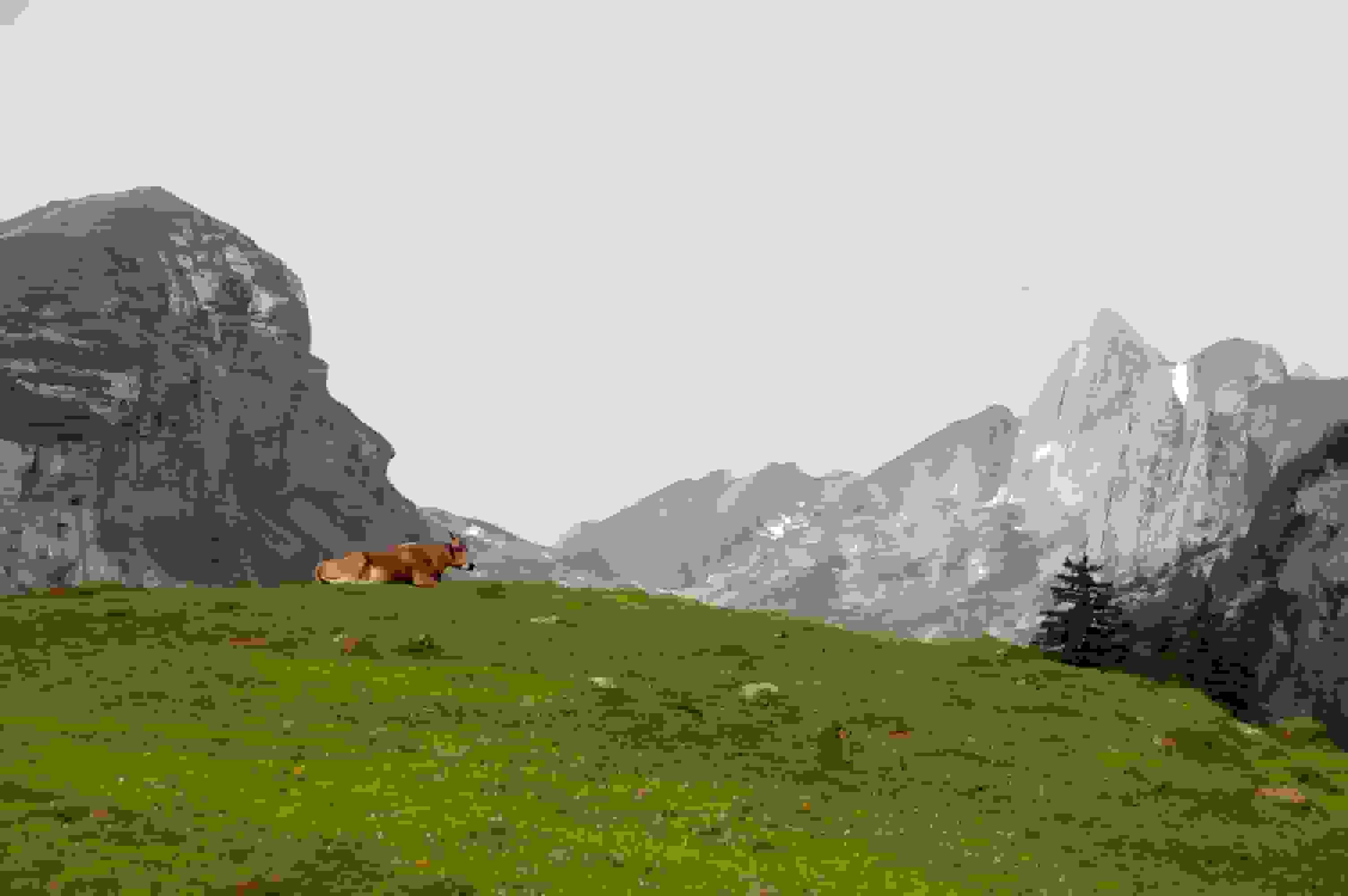 Sie weiss sich in Szene zu setzen