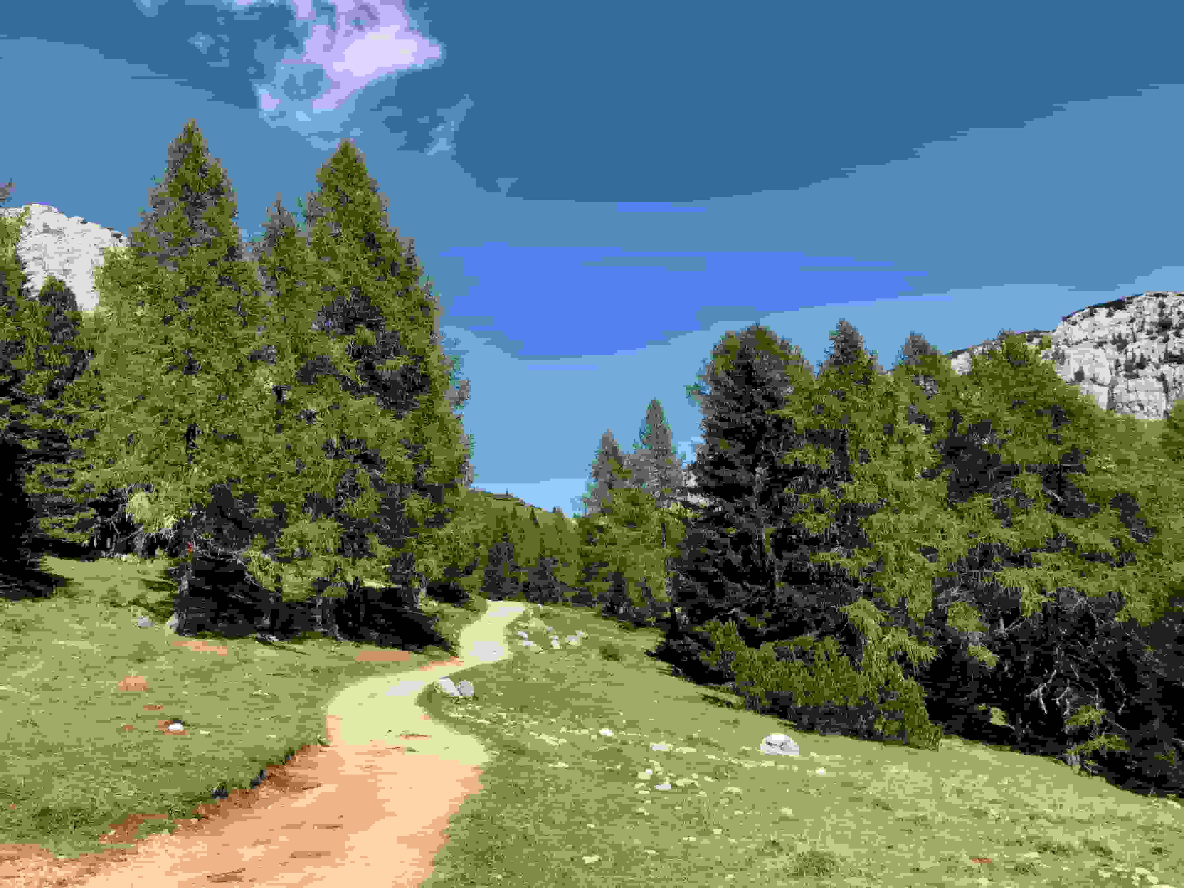 Lieblicher Weg zum Rifugio Città Di Carpi