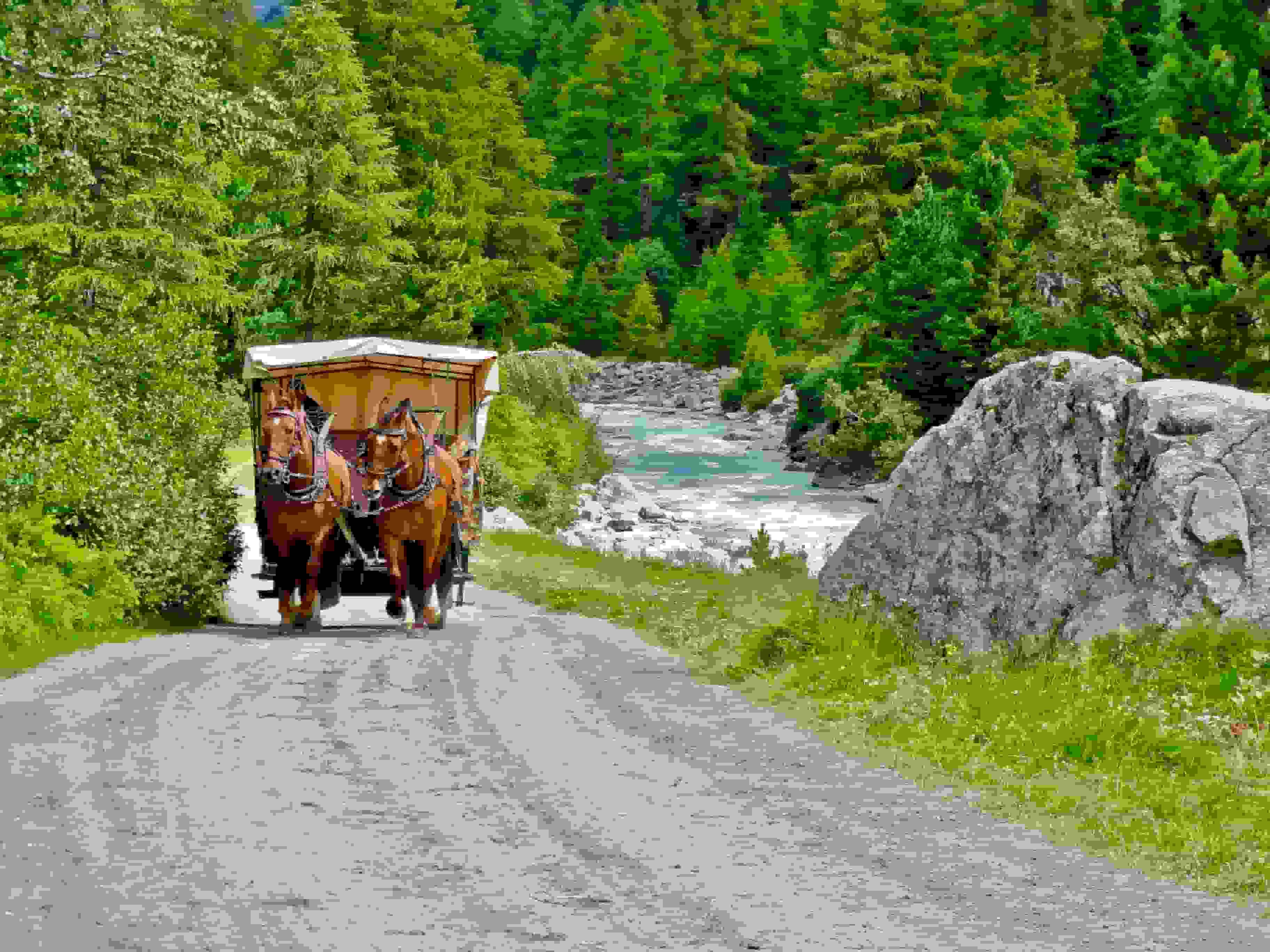 Kutsche im Val Roseg