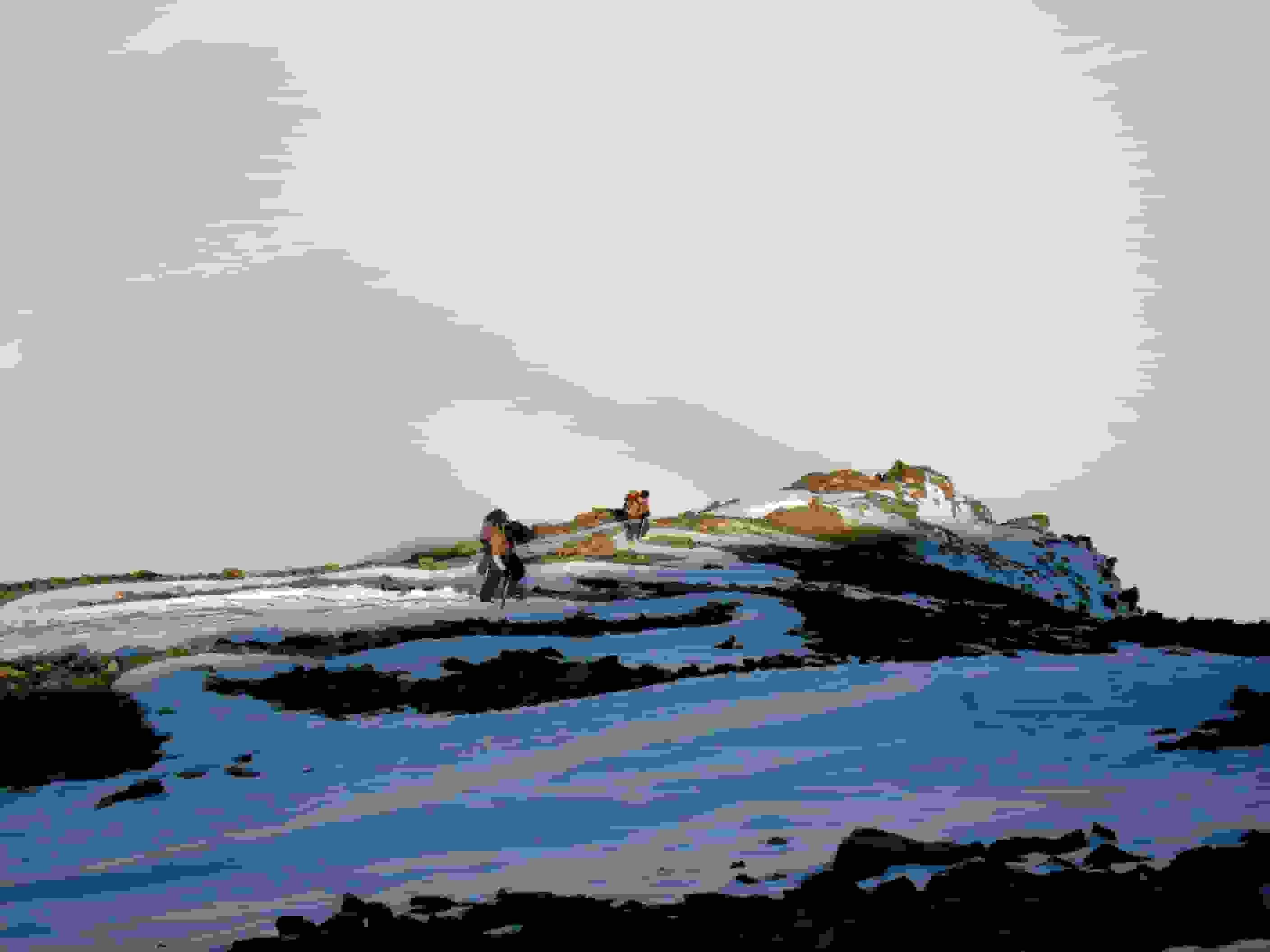 Die letzten Meter unterhalb des Gipfels