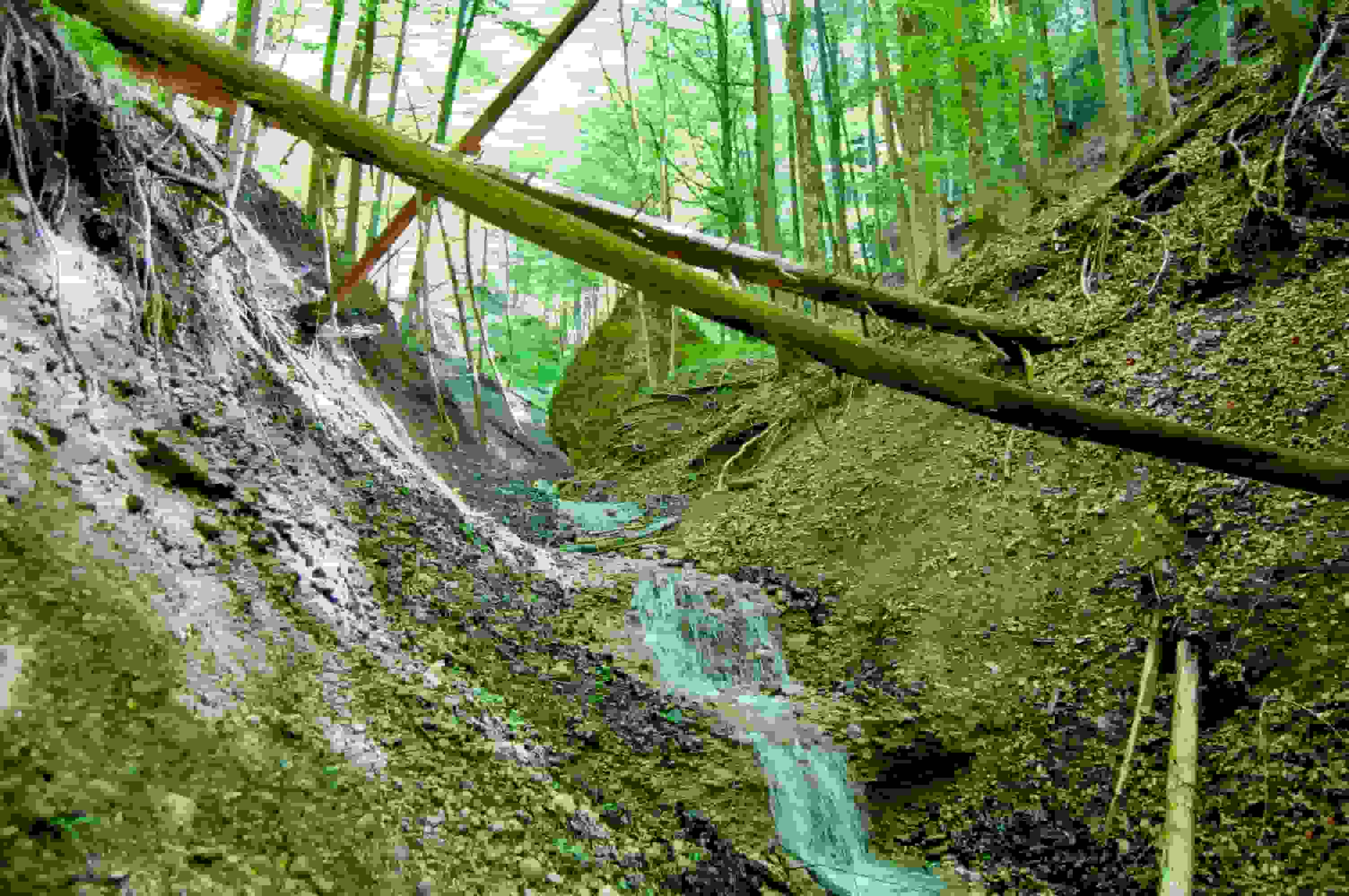 Wildromantischer Bachlauf im Beschtentobel