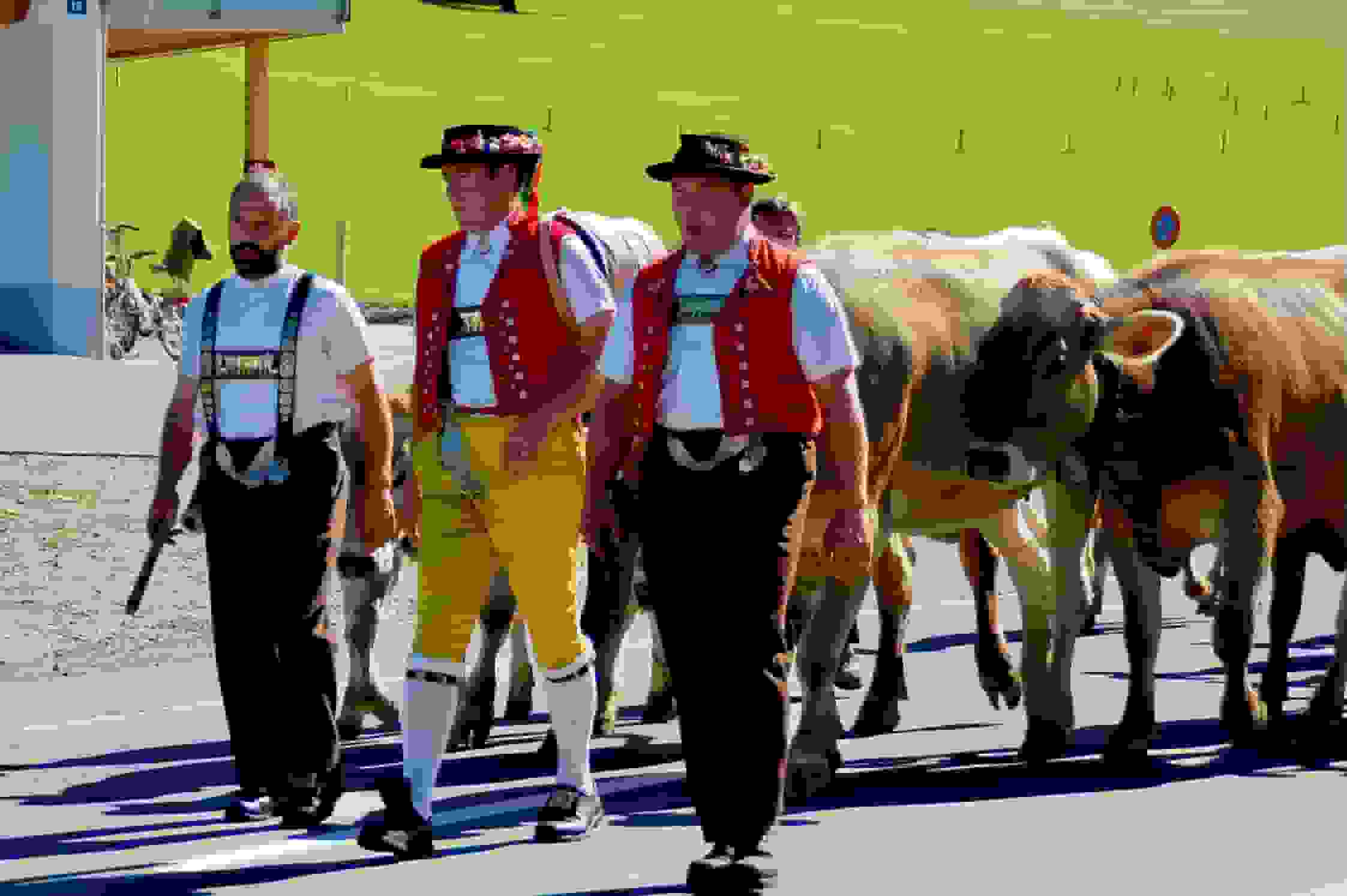 Es wird gezäuerlt – wunderschön