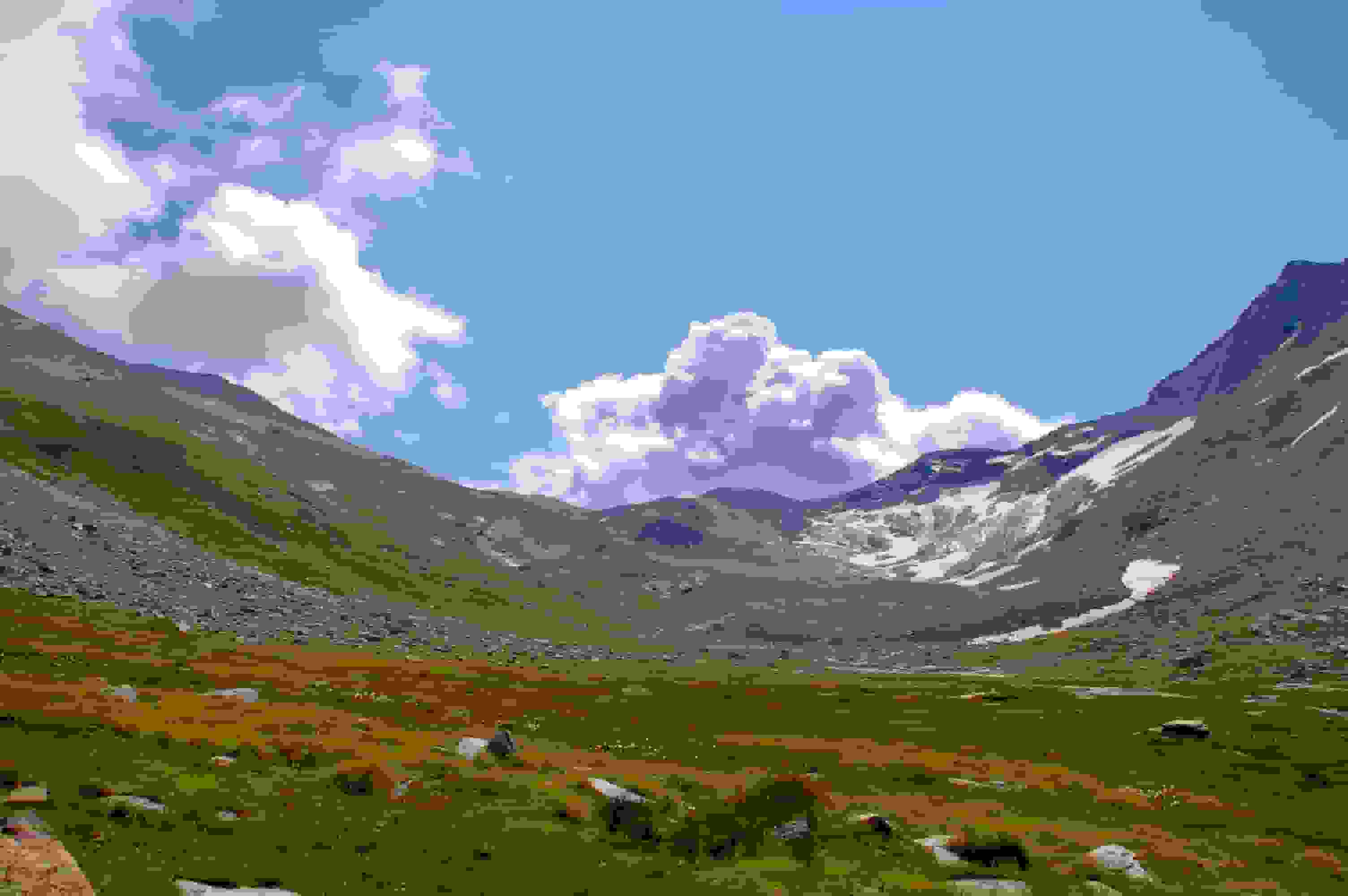 Blick zum Ofentalpass