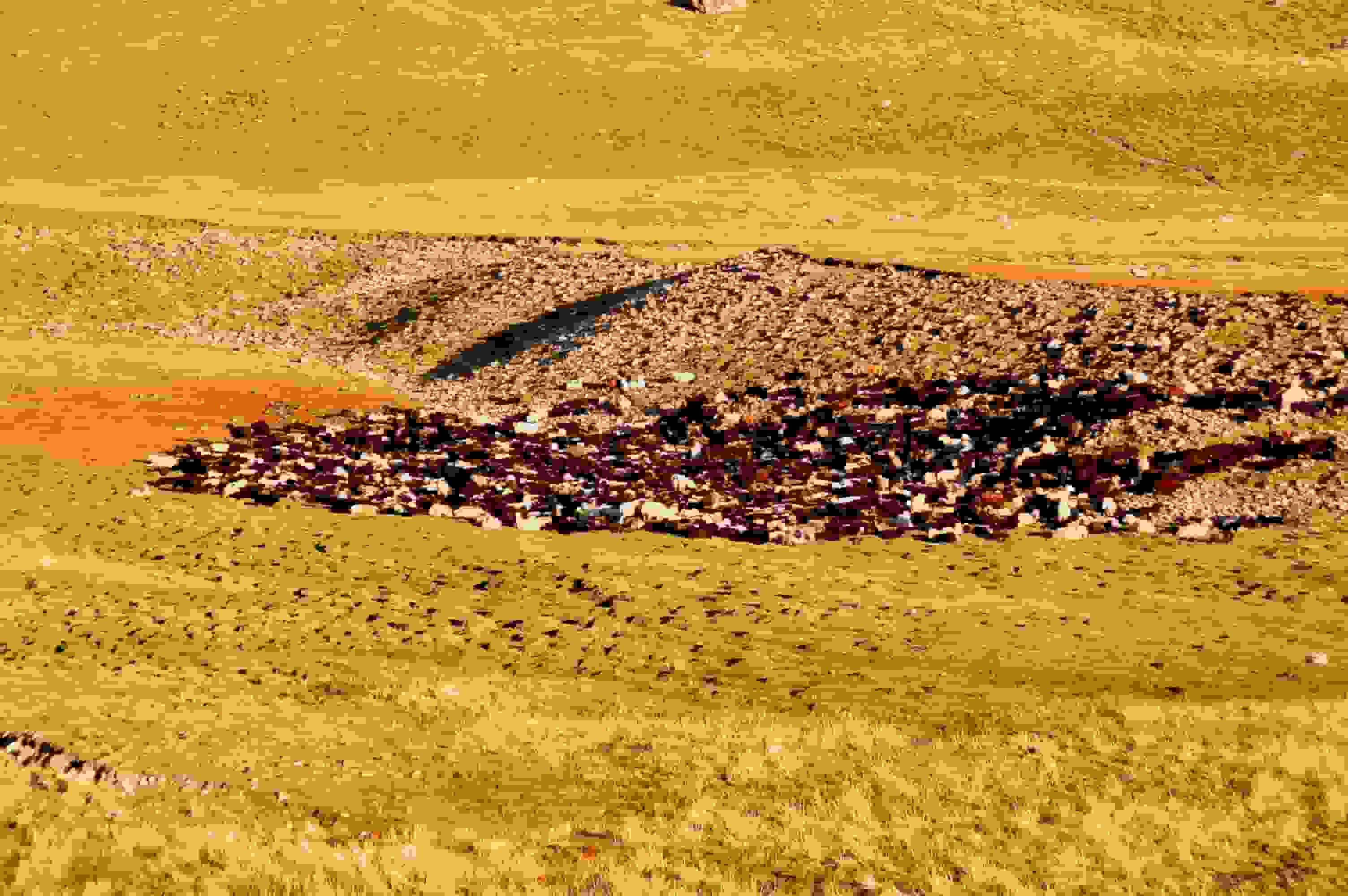 Auf einer Alp unweit des Base Camps übernachtet eine riesige Schafherde. Hier könnte man Schäfchen zählen!