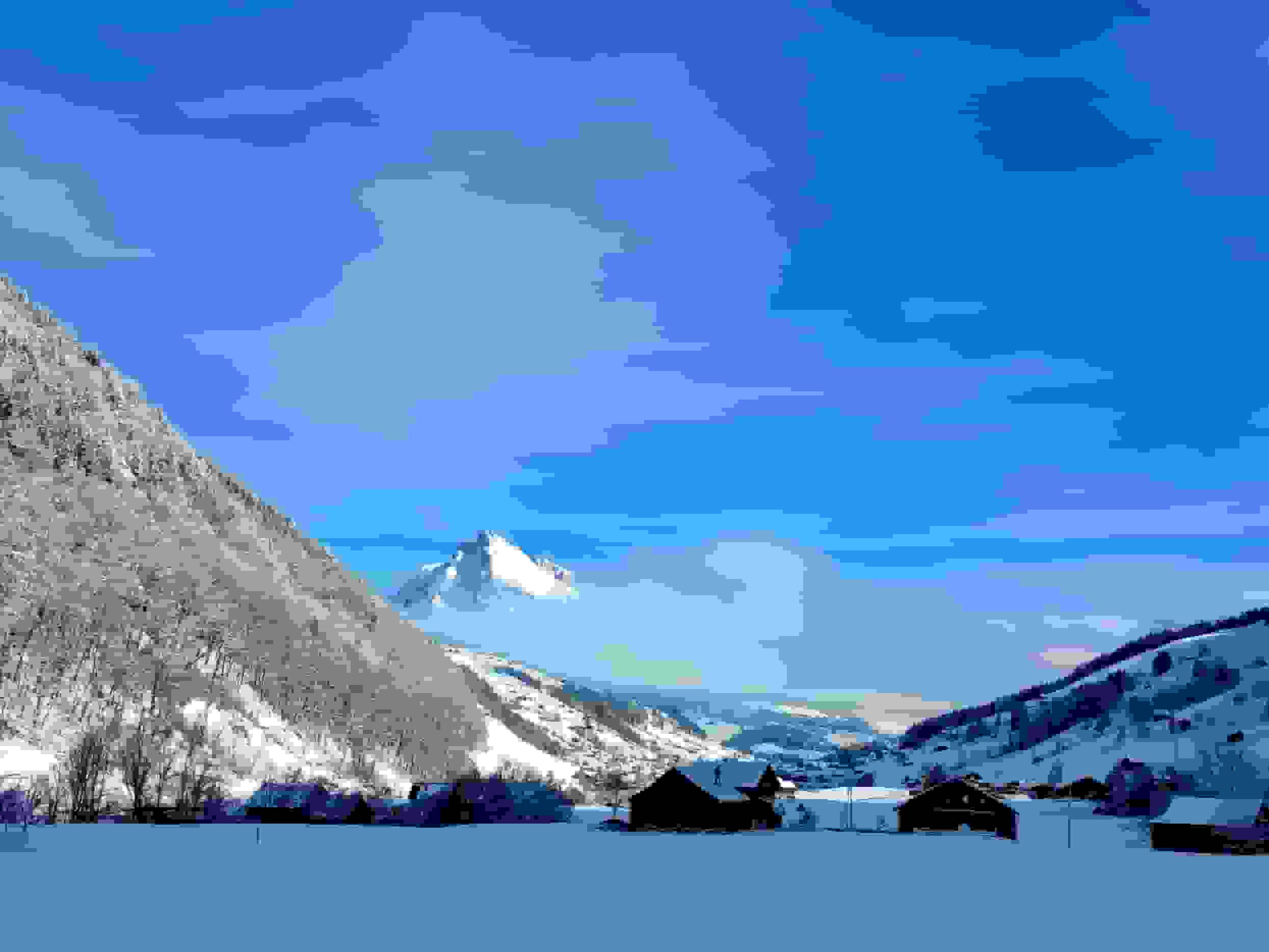 Starkenbach - Blick zum Wildhuser Schafberg