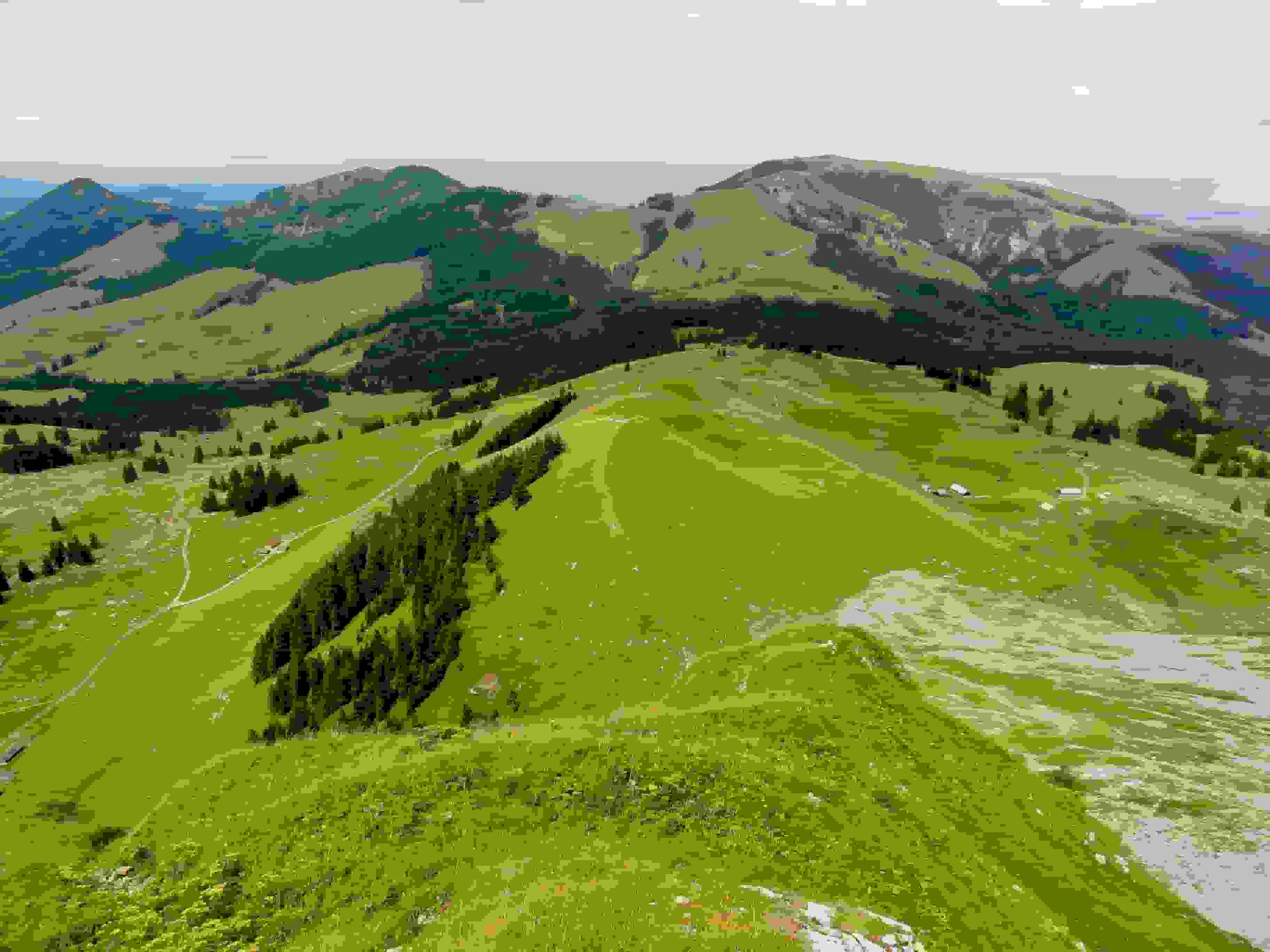 Blick zurück zur Chammhalden