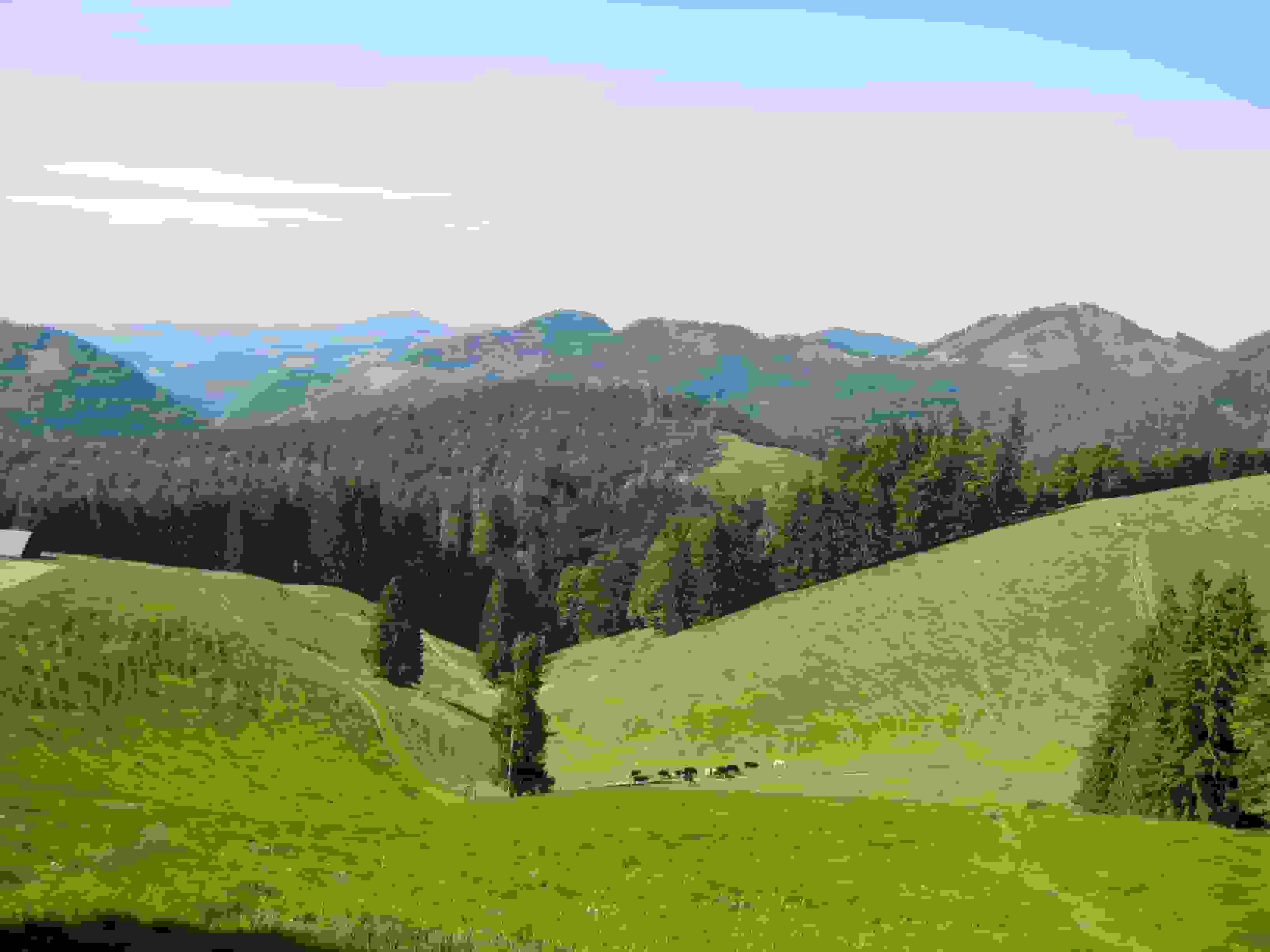 Tössbergland-Idylle